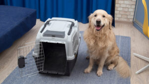 Shift Score -Pet relocation reviews