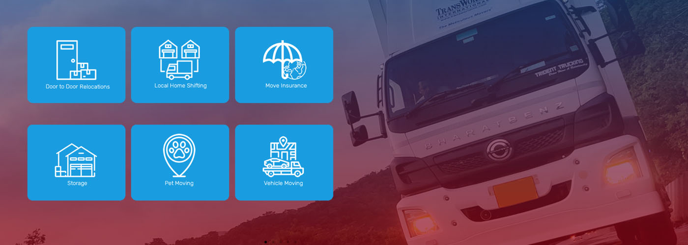 Transworld International